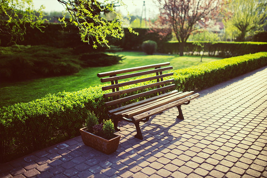 Park wooden bench