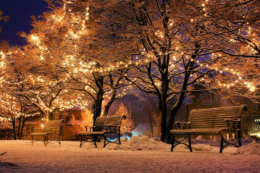 Christmas background lights and bank