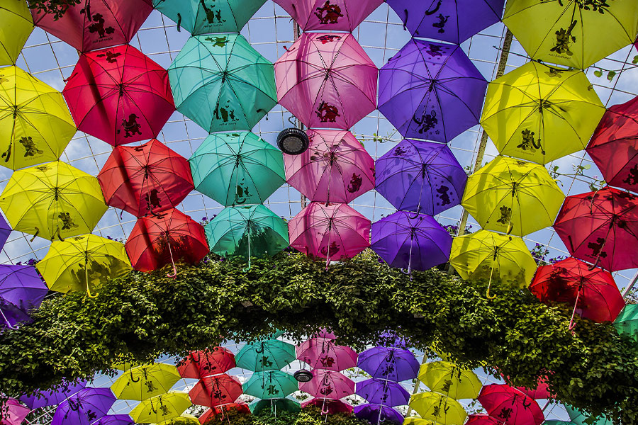 Miracle garden Dubai umbrella decoration