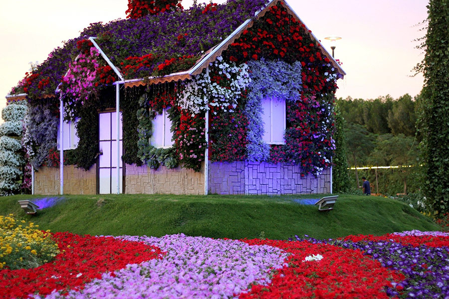 Dubai miracle garden design