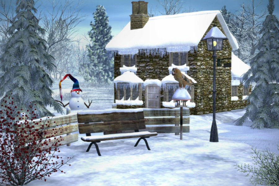 Cold frost winter season