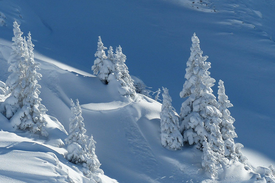 Snow landscape winter