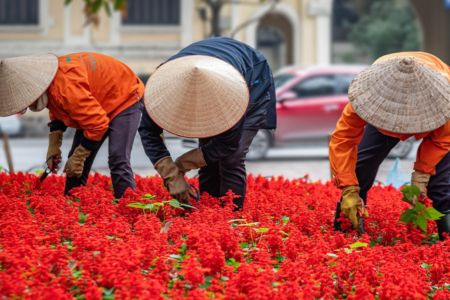Workers people gardening Hanoi Vietnam