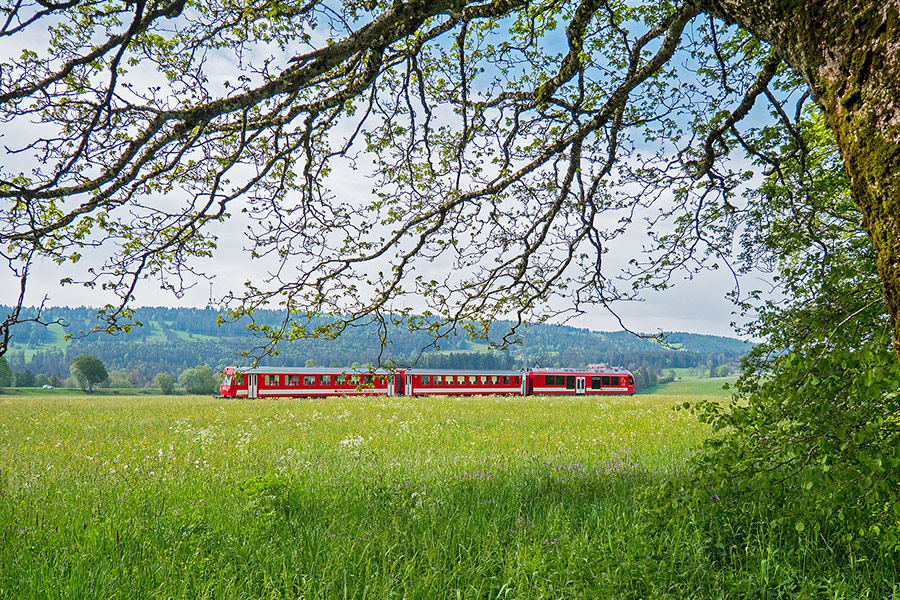 Train in the nature
