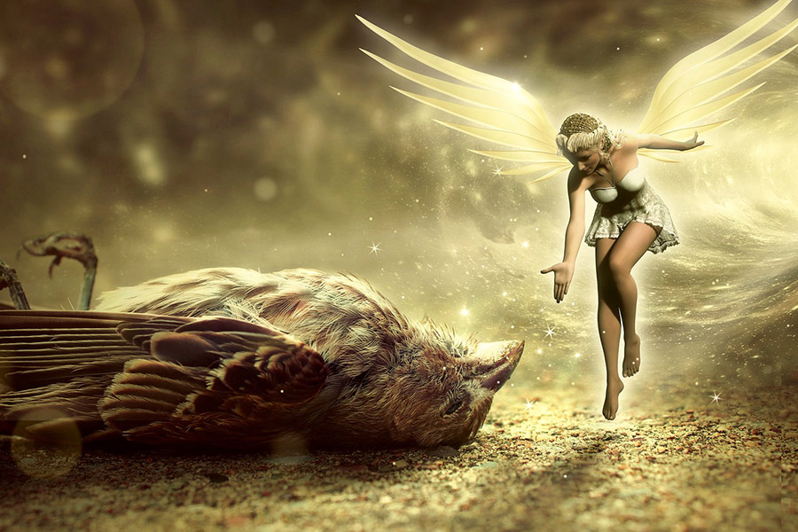 Bird death fantasy