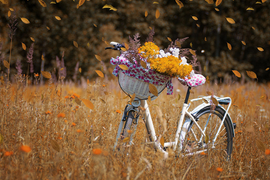 Nature flowers bike