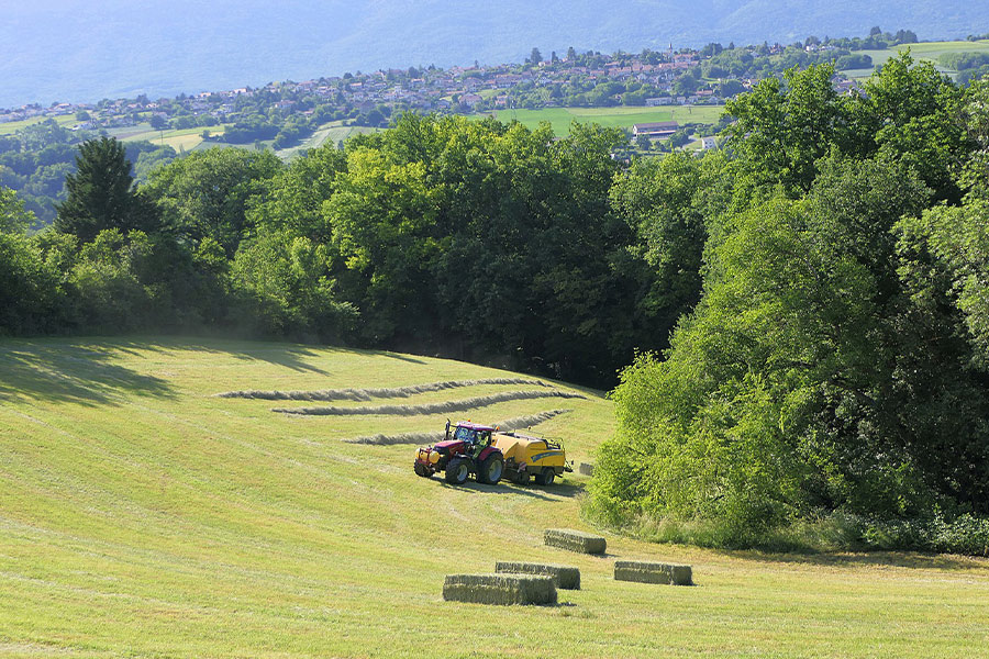 Hay field landscape tractor