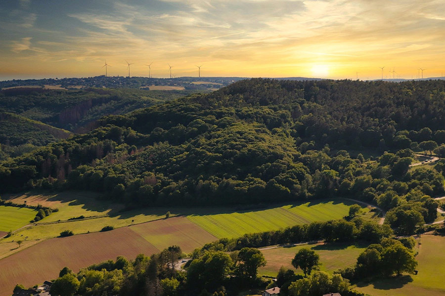 Panorama landscape nature forest sunset mood