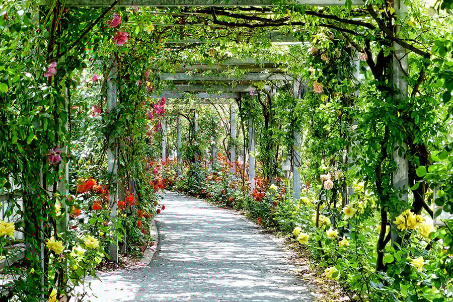 Passage arch path flowers park