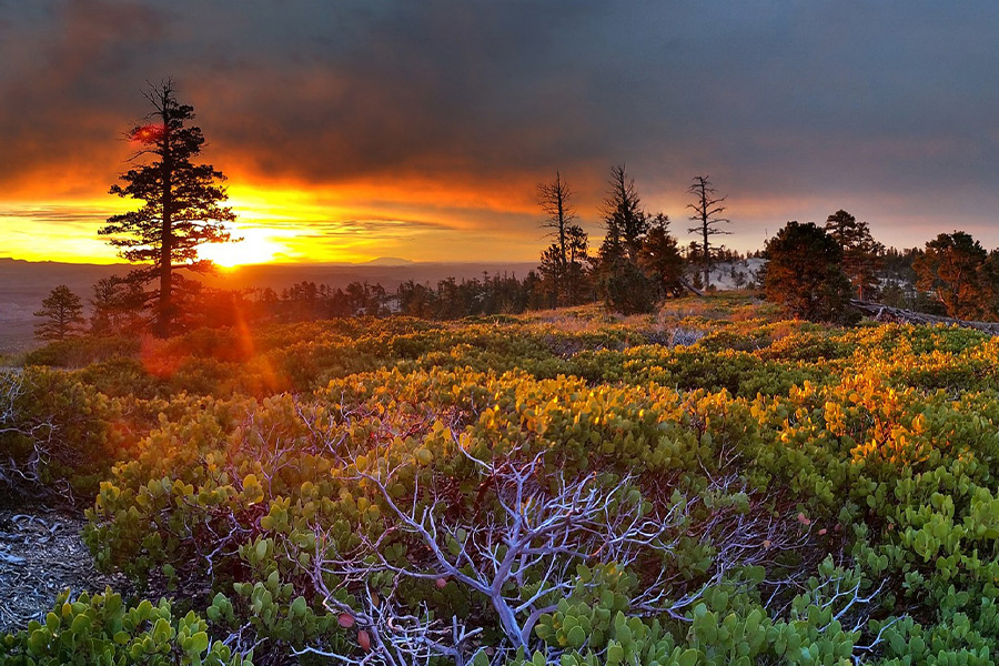 Sunrise sunset scenic nature