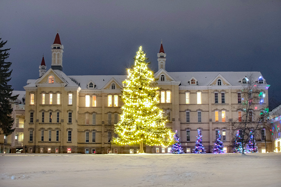 Lighted trees at Michigan State Hospital