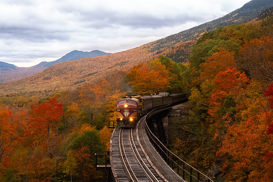 Orange train between fall trees
