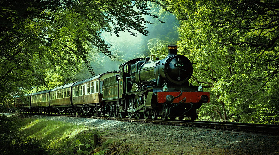 Black and red train passing through forest