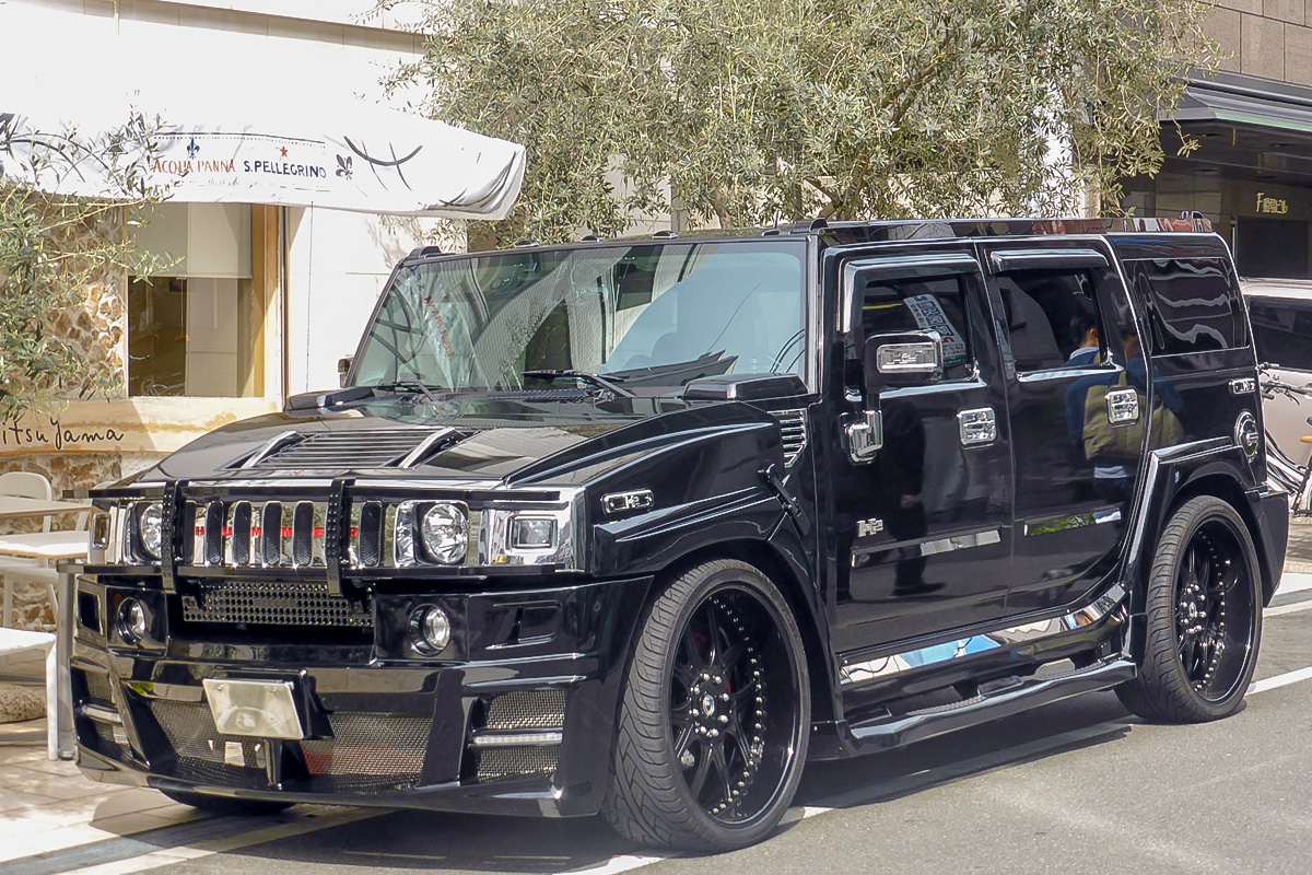 Hummer jigsaw puzzle