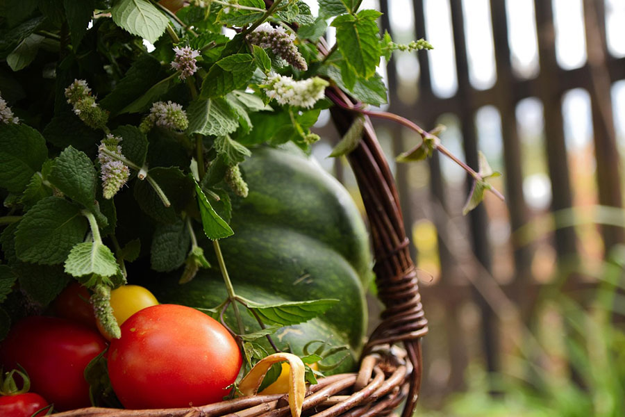 Wicker basket filled with fresh vegetables herbs