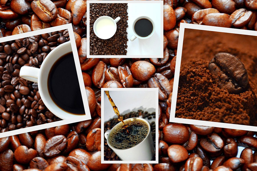 Diferentes etapas y formas de los granos de café