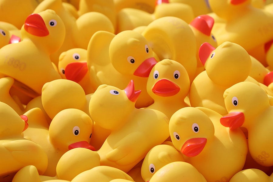 Yellow rubber ducks bath toys