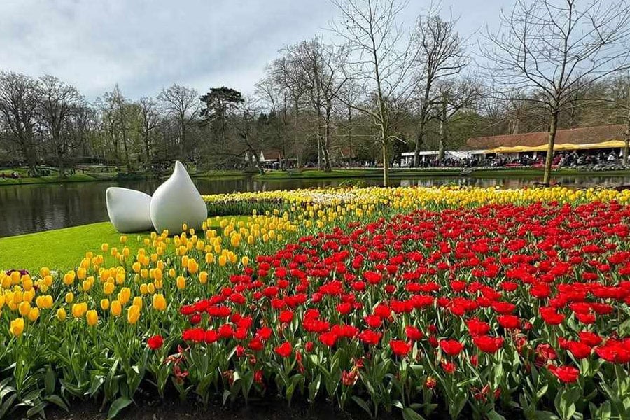 El Keukenhof 101