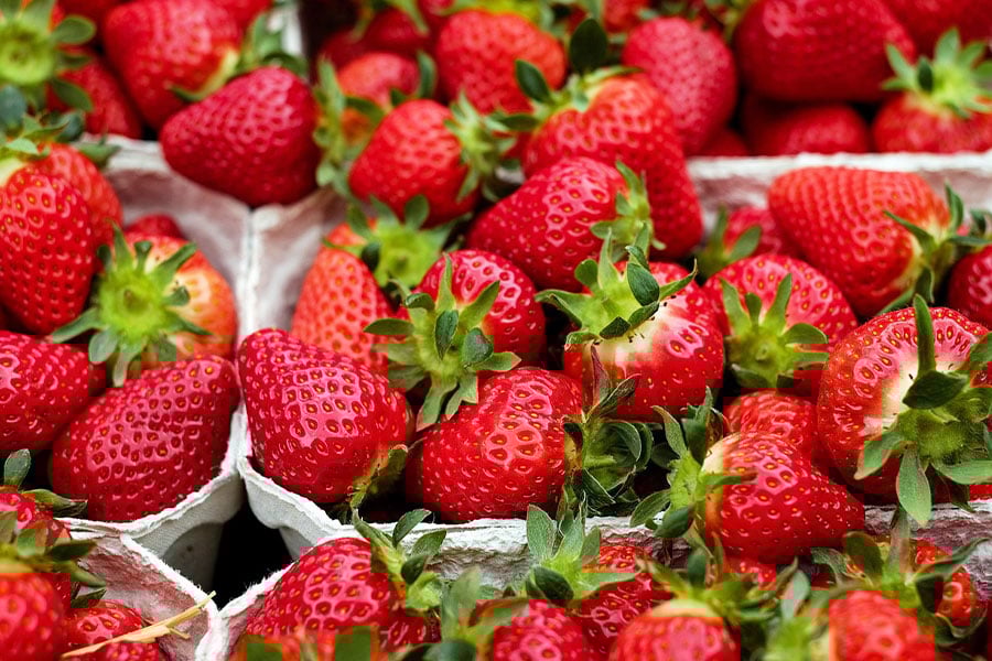 Fresas maduras o fresas reales de verano