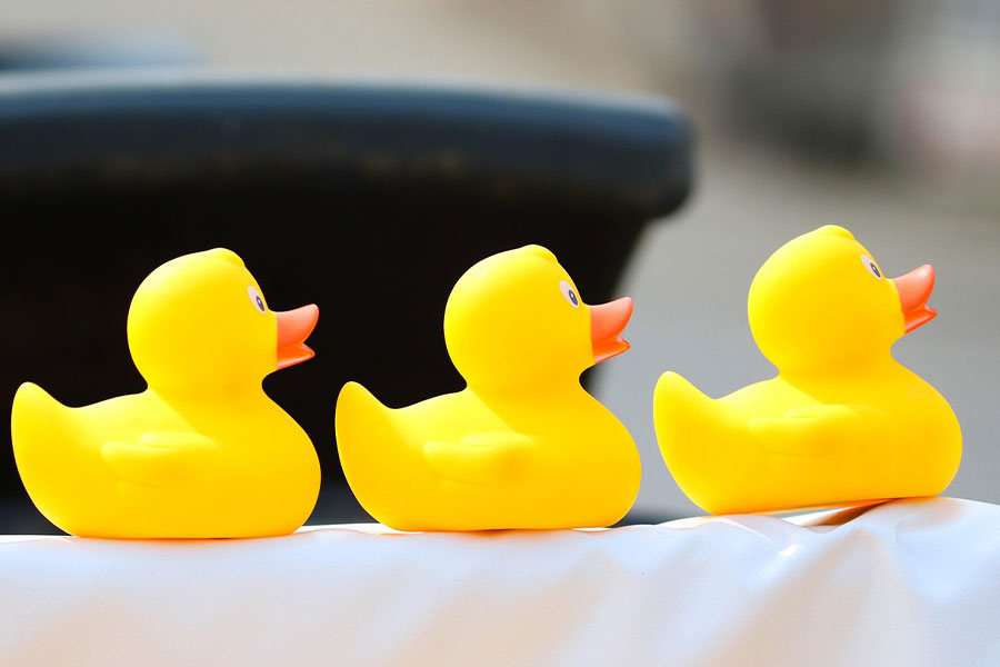 Classic yellow rubber duck