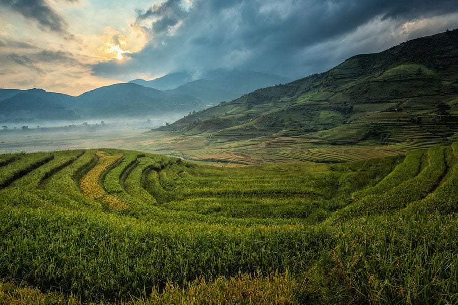 Landwirtschaftliche Nutzung ausgedehnter Reisterrassen