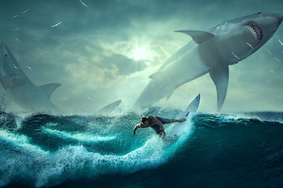 Fantasy picture of surfer sharks