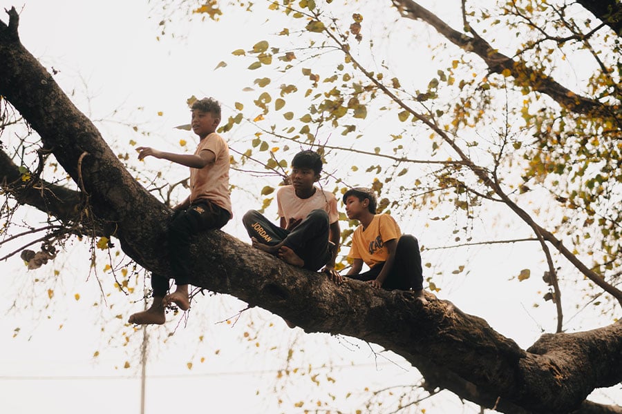 Three children relaxing in large plane tree