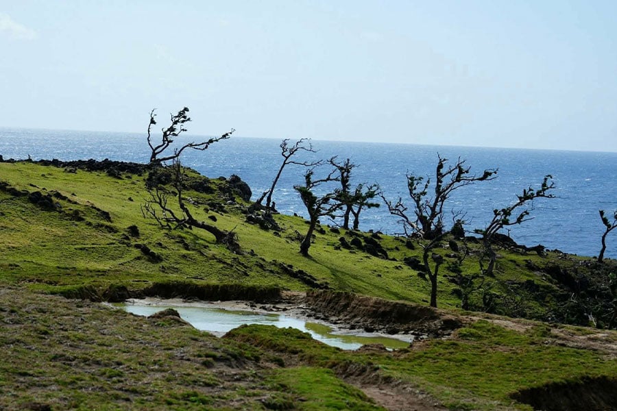 Coast of the Azores