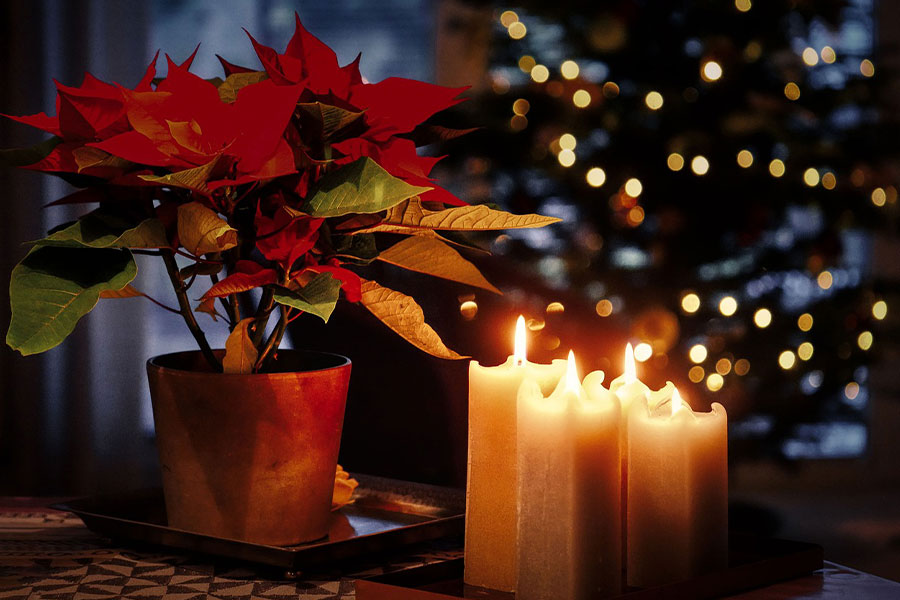 Natura morta natalizia con stella di Natale e candele accese