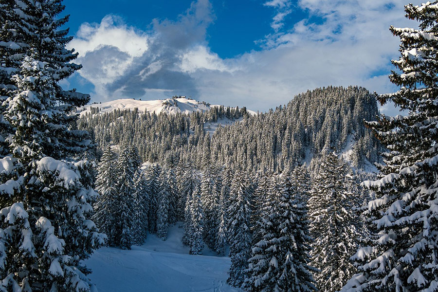 Hochybrig, Schweiz, Natur, Winter