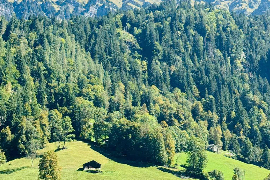 Naturlandschaft mit sichtbaren Holzchalets