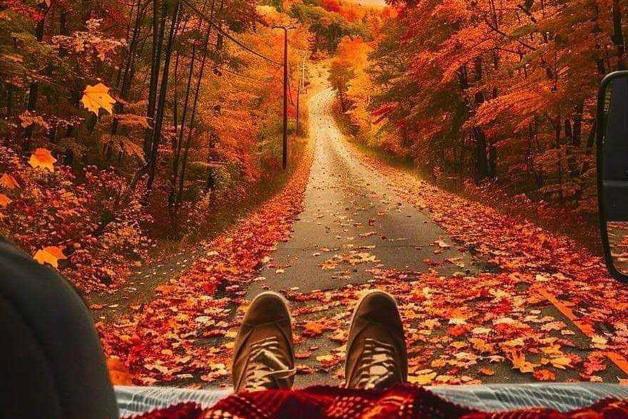 Scena autunnale di qualcuno sdraiato in un veicolo