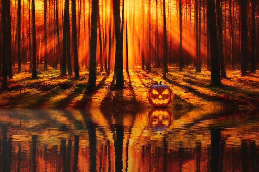 Foresta del lago di Halloween