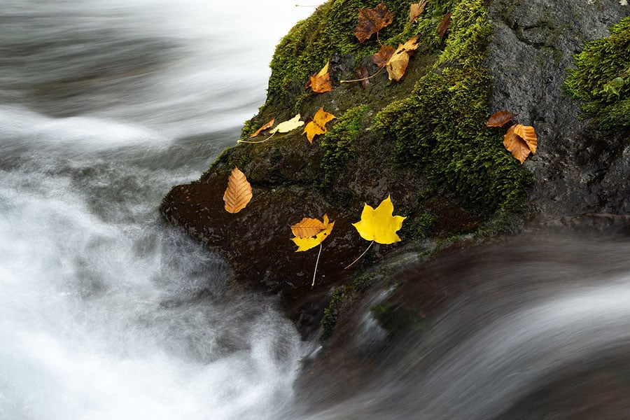 Natur Gebirgsbach Herbst