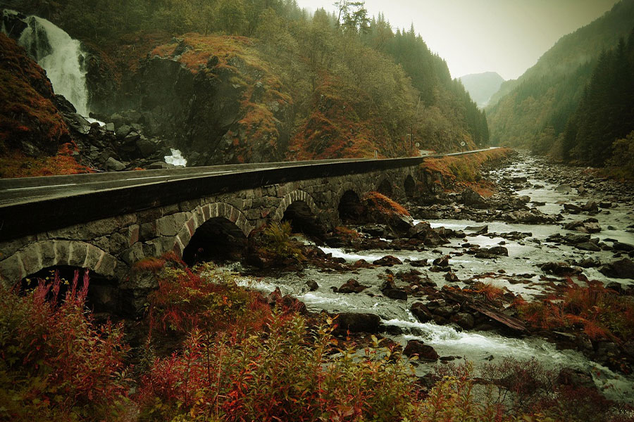 Norwegen Herbst Natur
