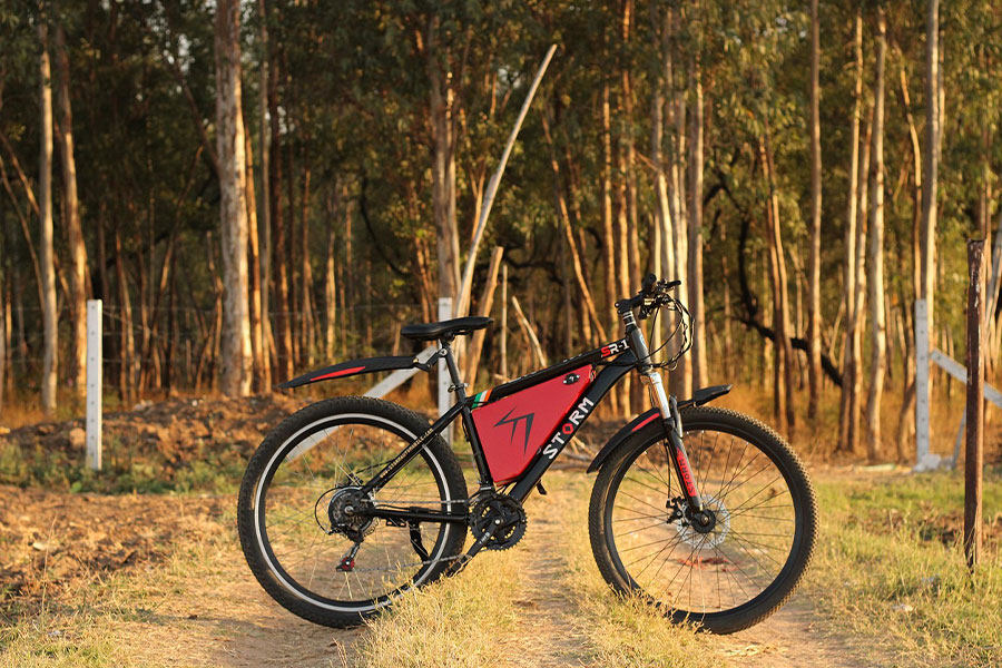 Bicicletta elettrica