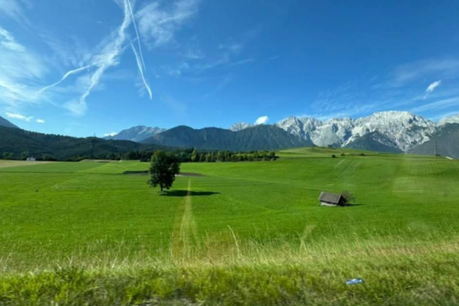 Pradera alpina con fondo de montañas