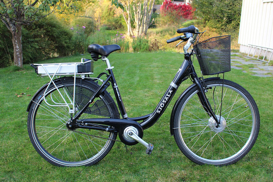 Motosega elettrica