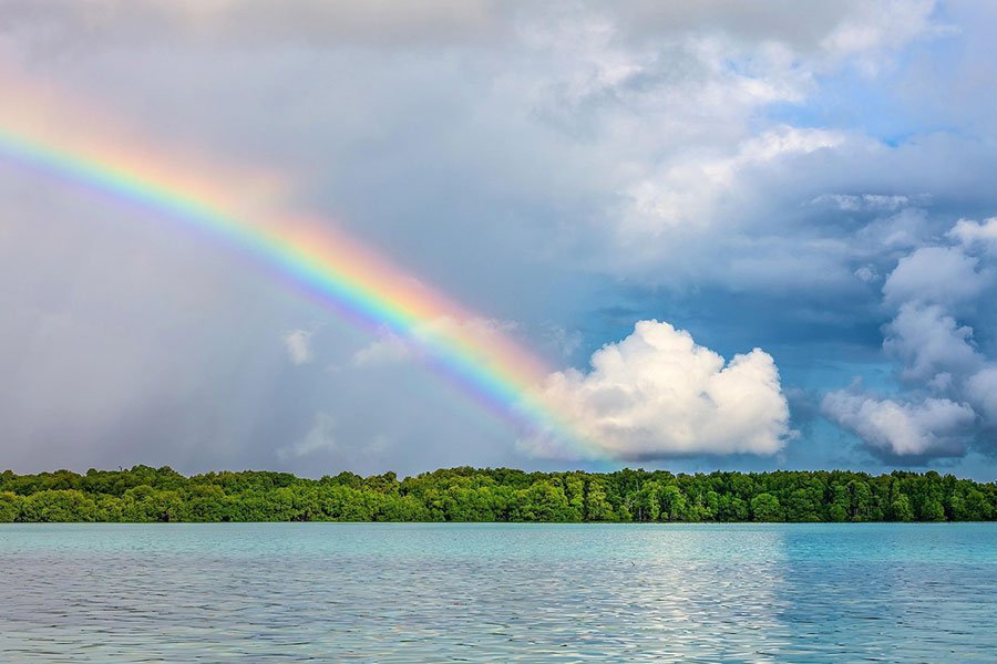 Wunderschöne Naturlandschaft mit Regenbogen