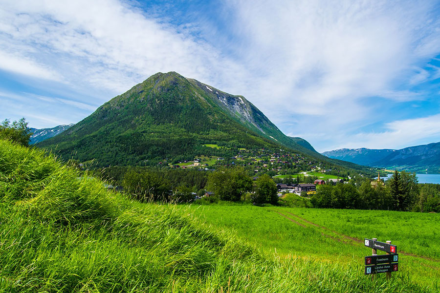 Nature green mountain landscape