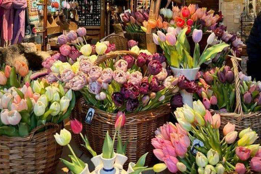 Cesti di tulipani in vendita