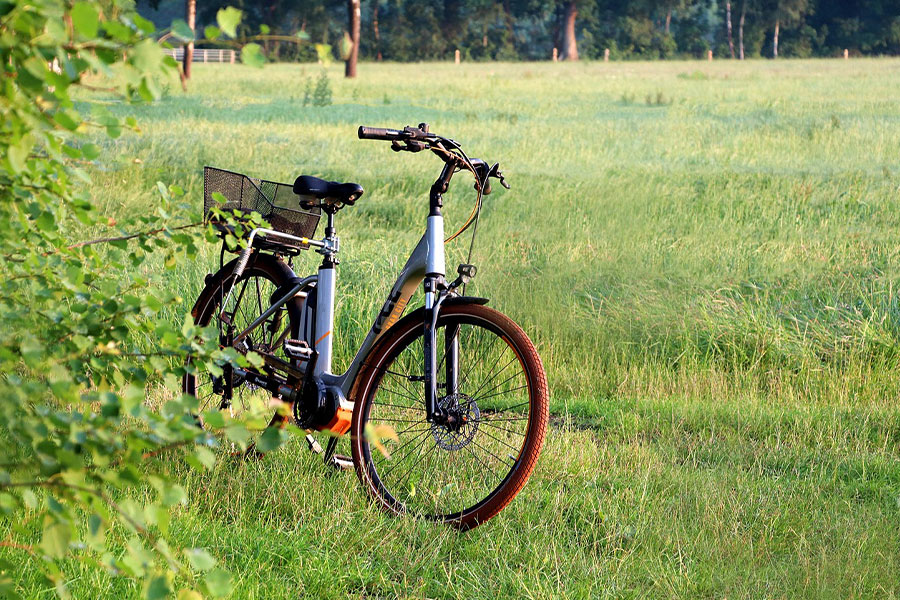 E-bike nella natura