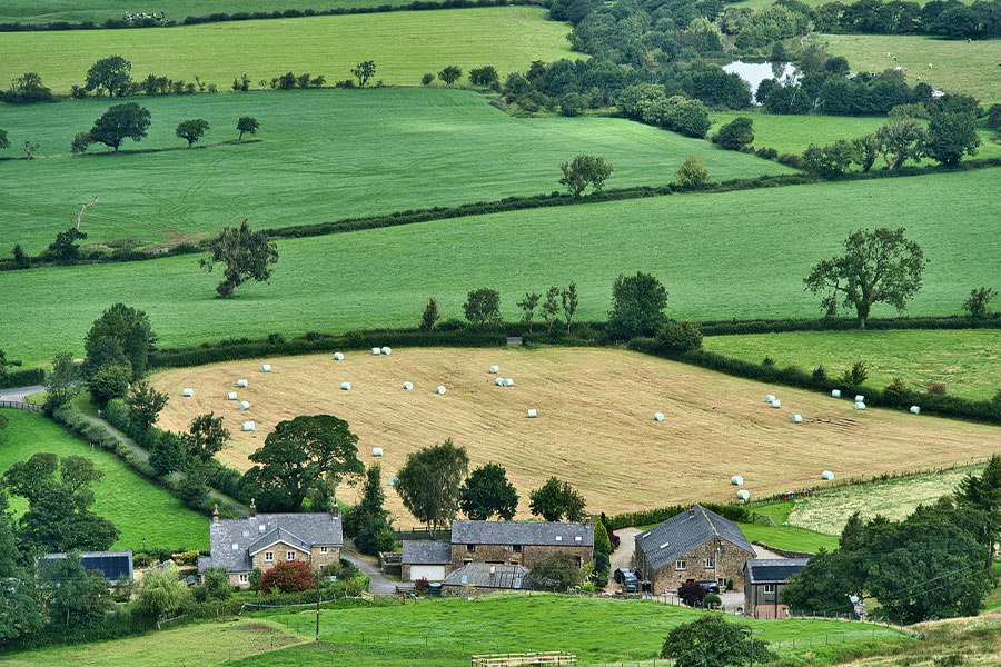 Agricoltura