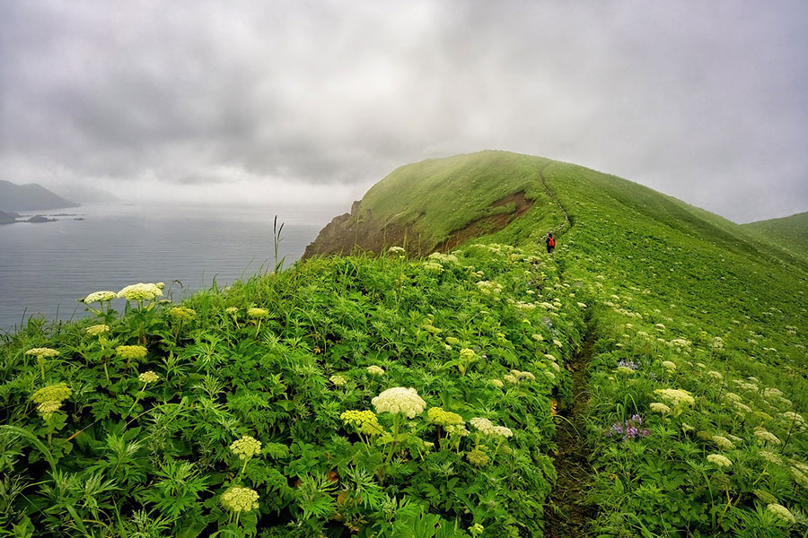 Paesaggio montuoso del pascolo del Capo