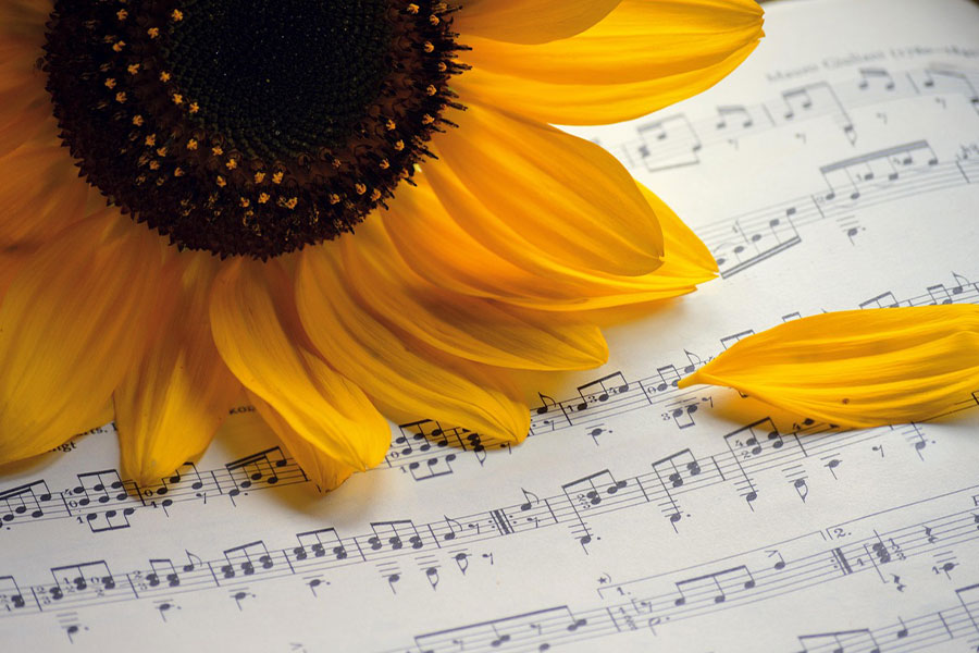 Note di canzoni estive
