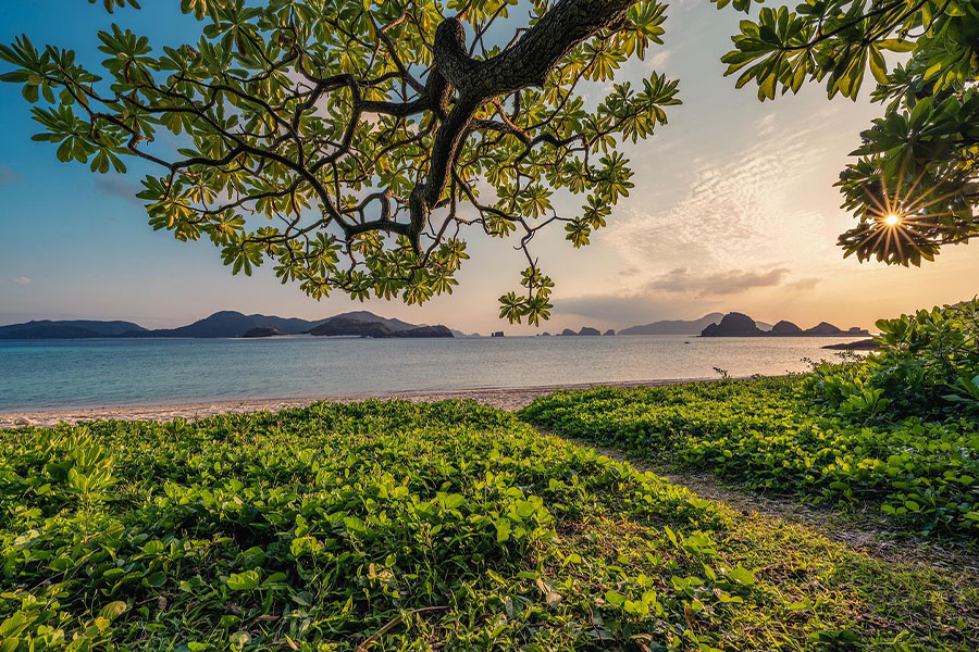 Tramonto sulla spiaggia di sabbia, natura