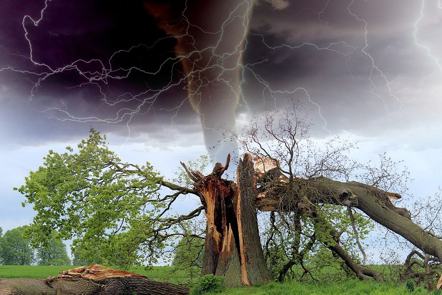 Tempesta di tornado con rami di albero spezzati