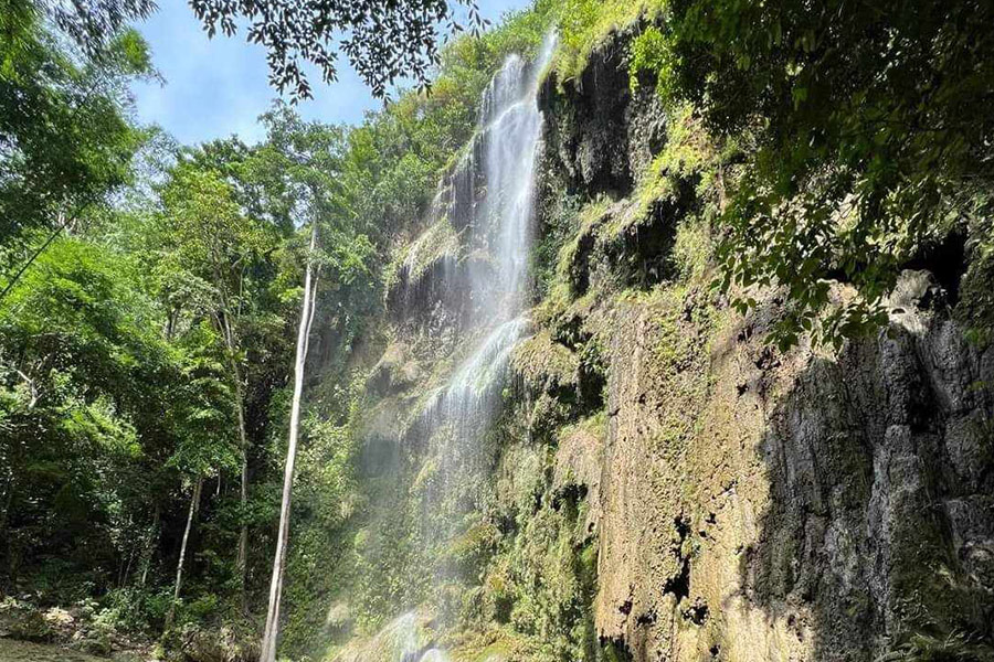 Attraction touristique des chutes d'Oslob aux Philippines
