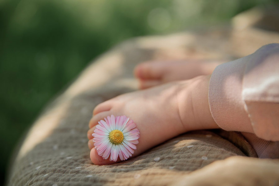 Fiore di margherita piede di bambino
