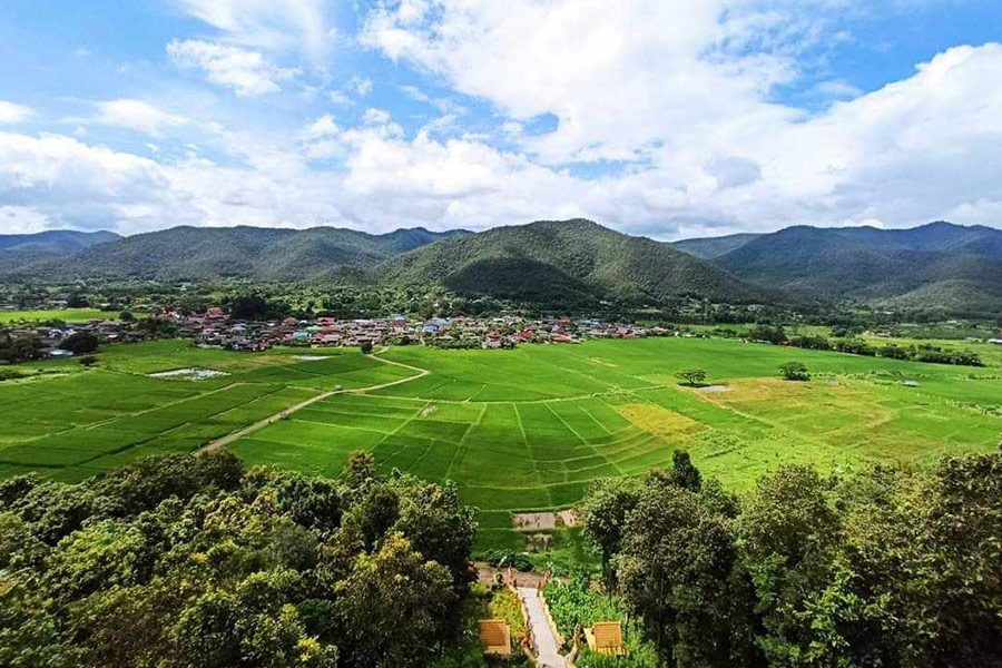 Campo di riso fattoria natura e villaggio